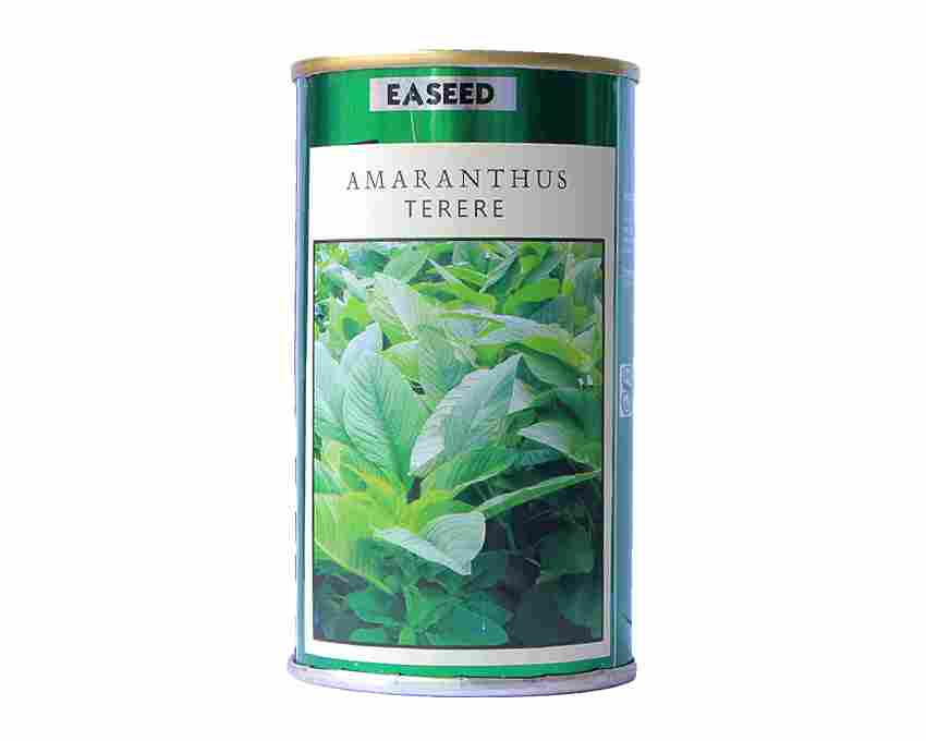 Terere – Amaranthus, indigenous, highly nutritious green leafy vegetable 